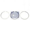 DT 2.90081 Piston Ring Kit